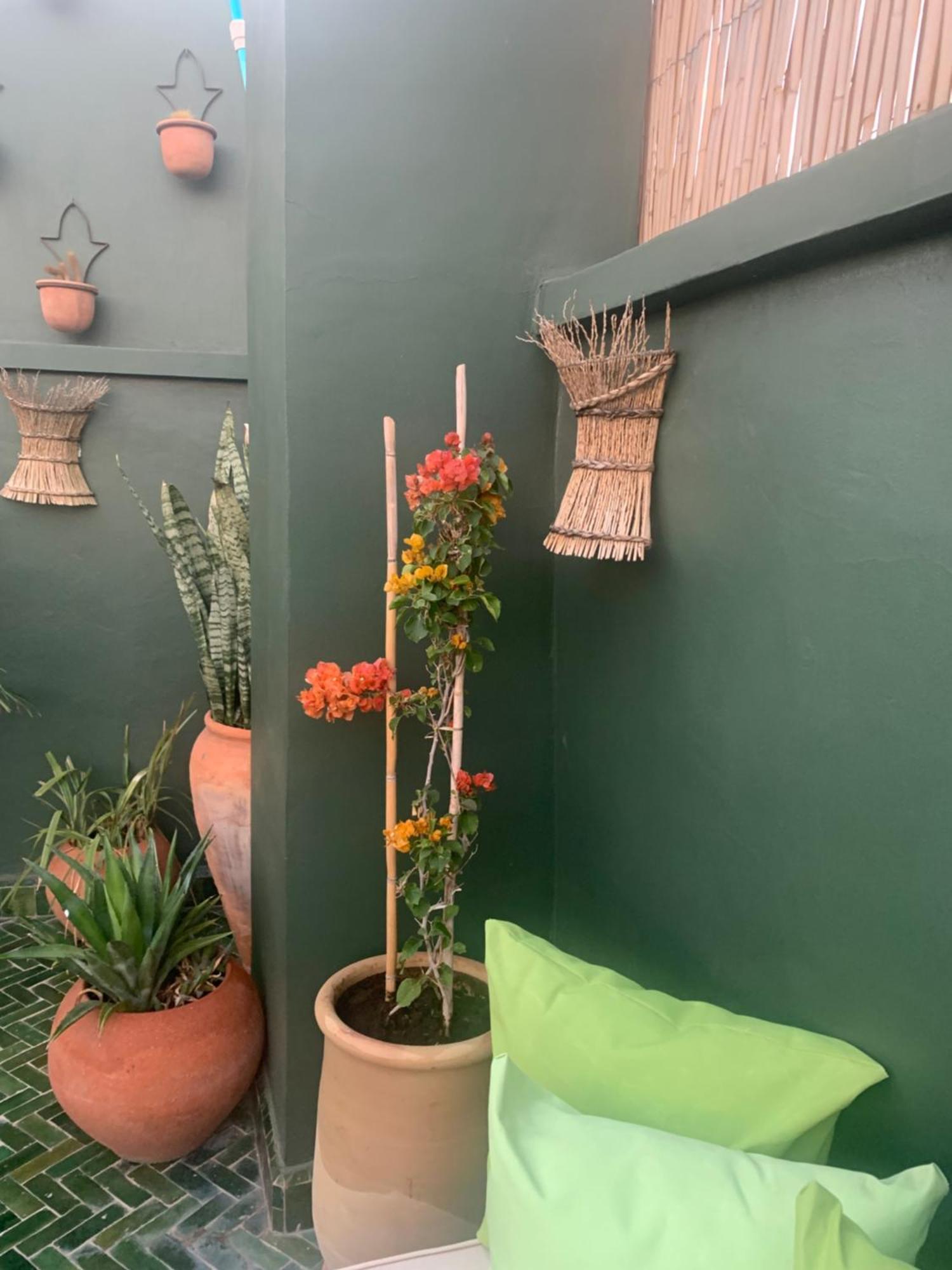 Riad Olive Privatif 4 Personnes Hotel Маракеш Екстериор снимка